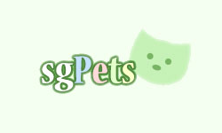 Singapore Pets Portal, Sg Pets by Timzstudio